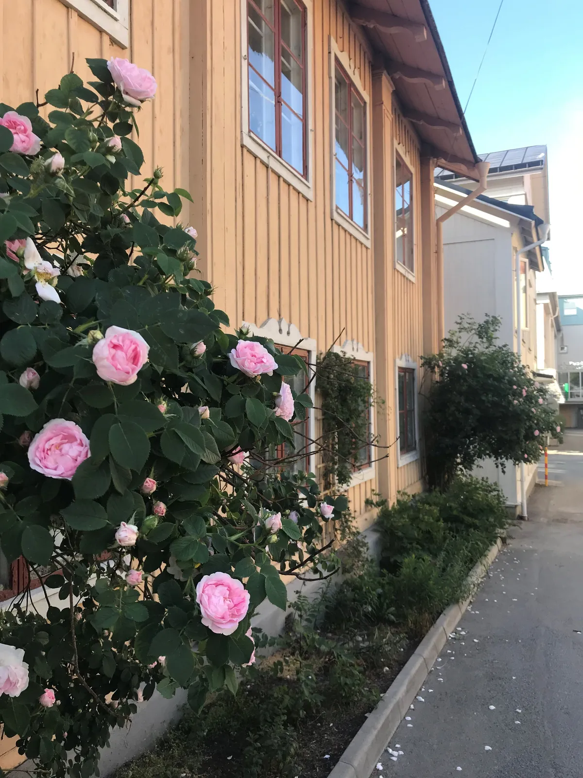 Hyresbostad på Skolgatan i Vaxholm