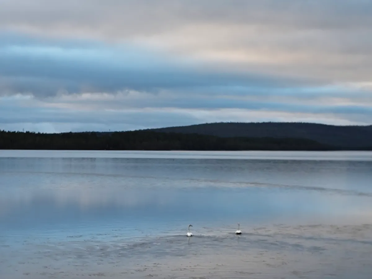 Hyresbostad på Tårrajaur  i Jokkmokk