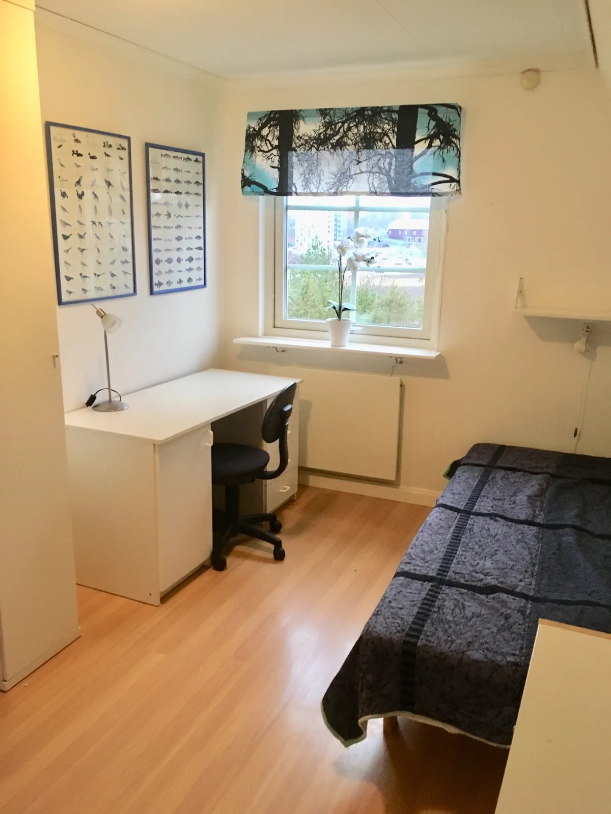 Hyresbostad på Bergagatan i Norrköping