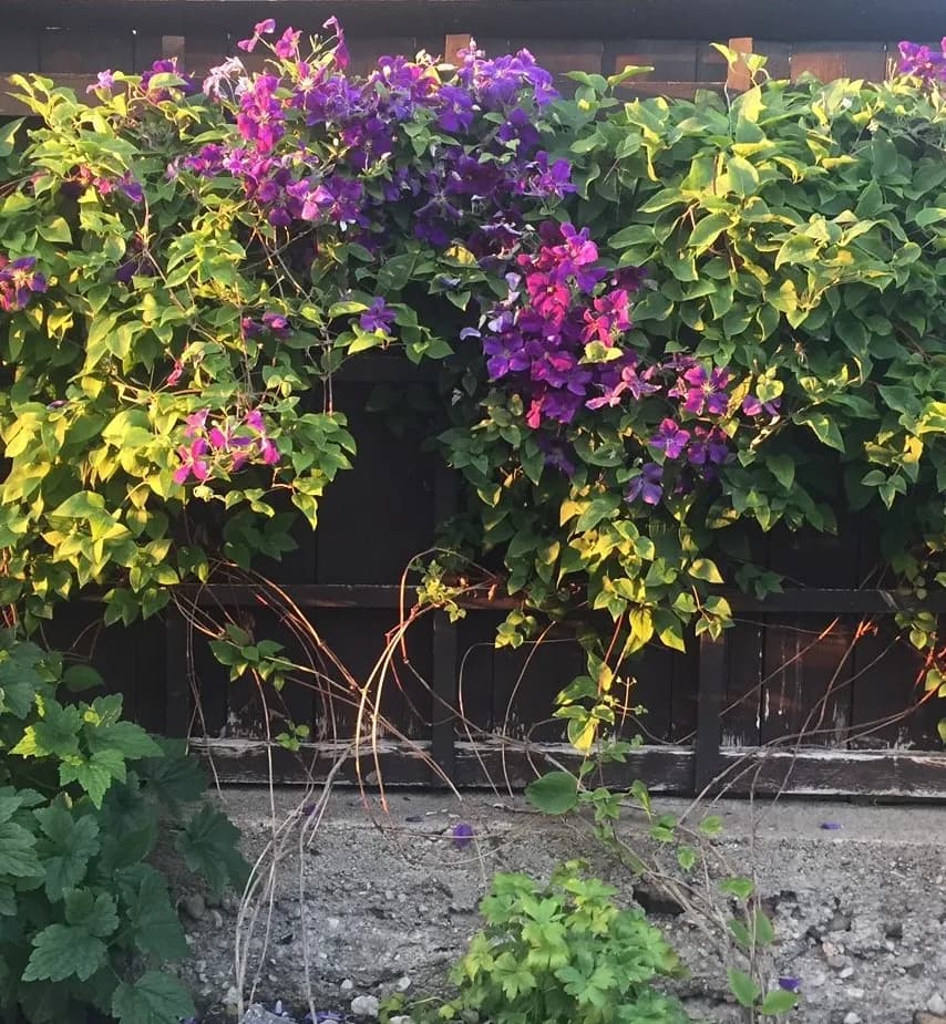 Hyresbostad på Visby i visby