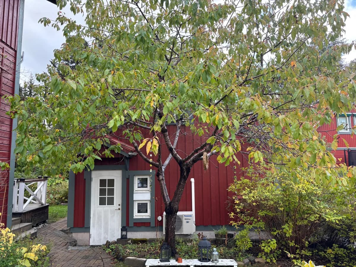 Hyresbostad på Eksätravägen  i Uppsala