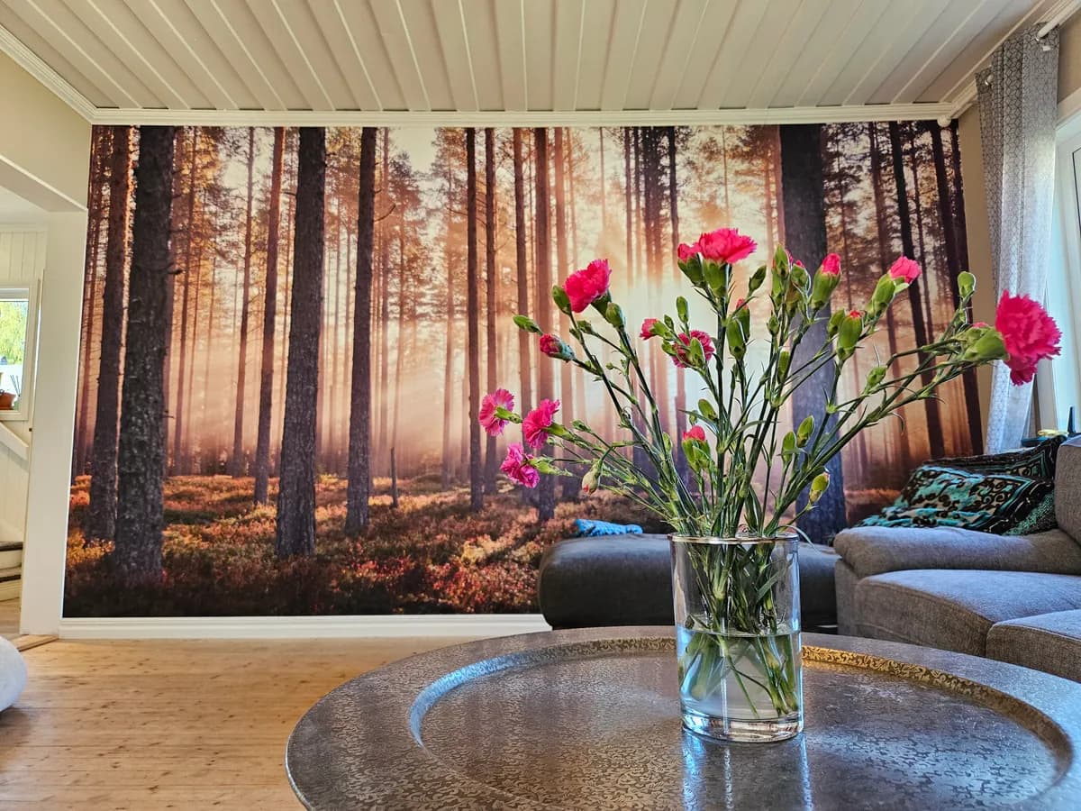 Hus på Johansgatan i Skellefteå