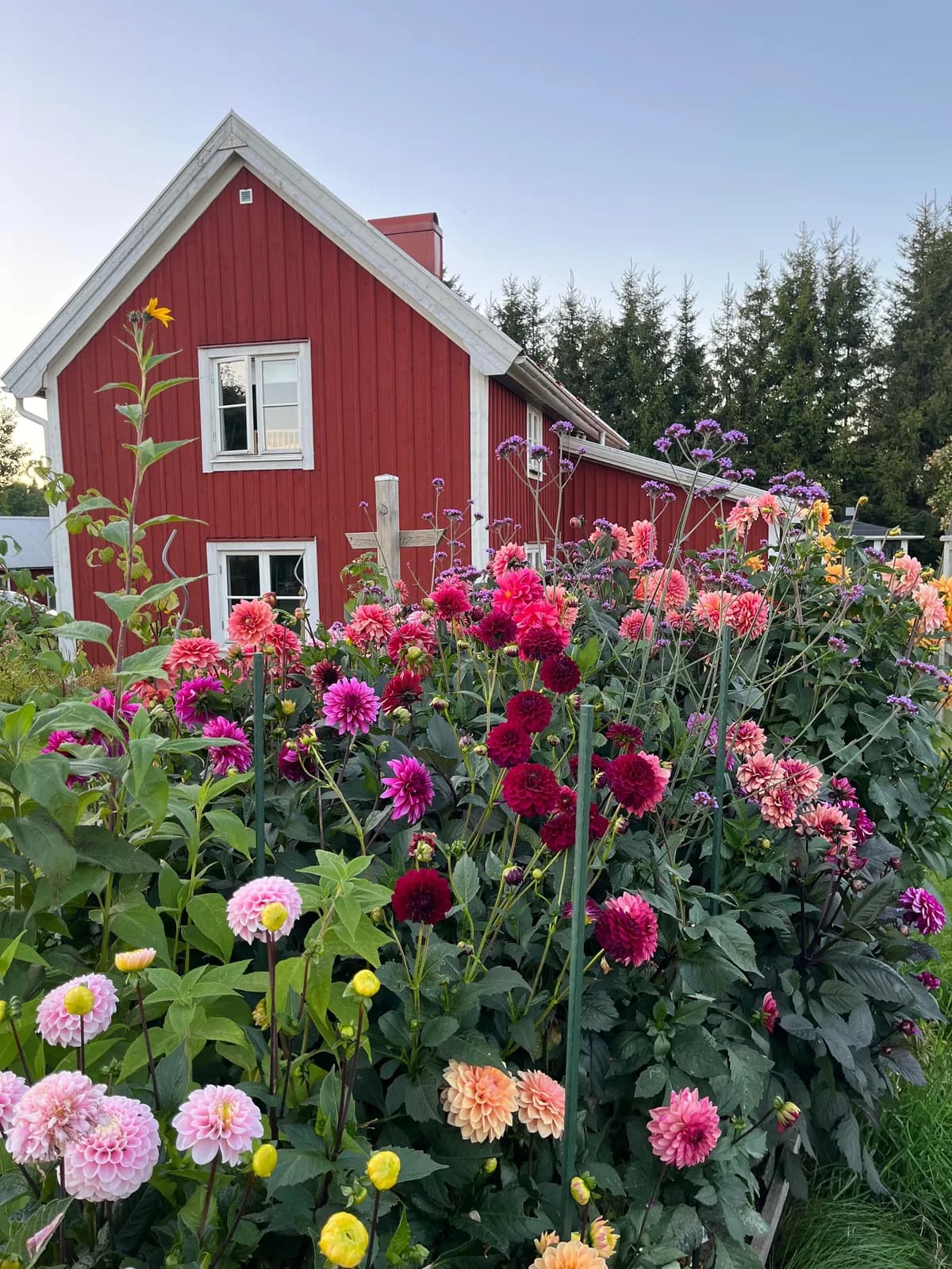 Hyresbostad på Tissered i Ulricehamn