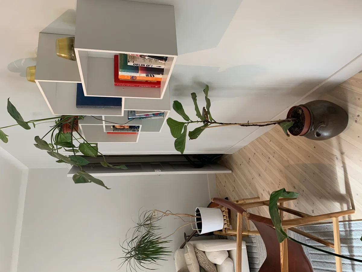 Property image 44