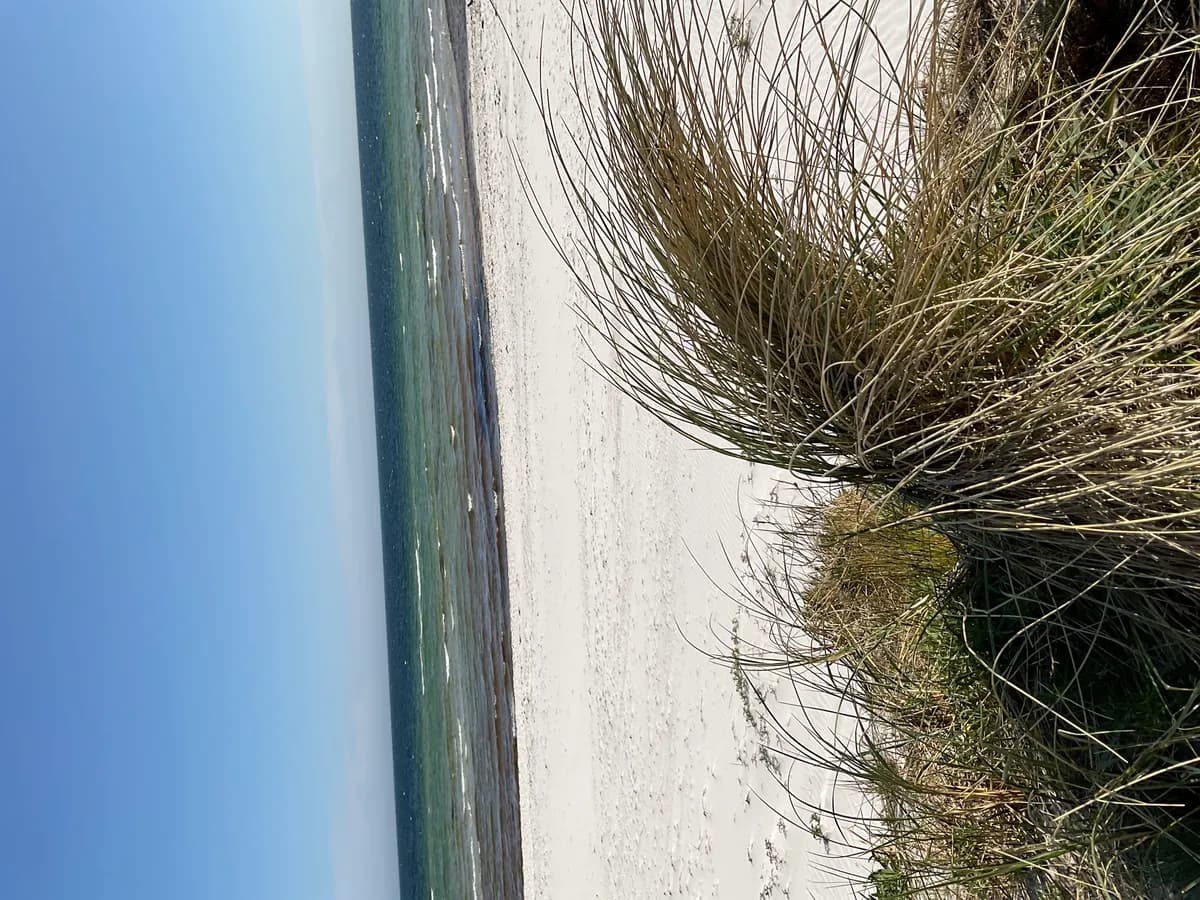 Hyresbostad på Ålavägen i Falsterbo