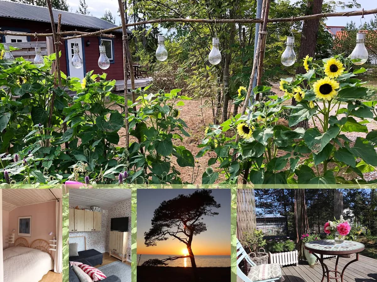 Hyresbostad på Gotlands Tofta i gotlands-tofta