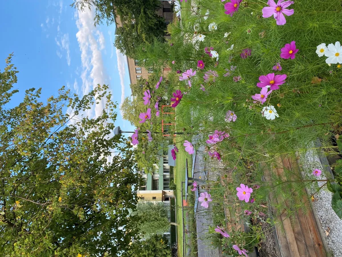 Lägenhet på Hålsjögatan i Malmö