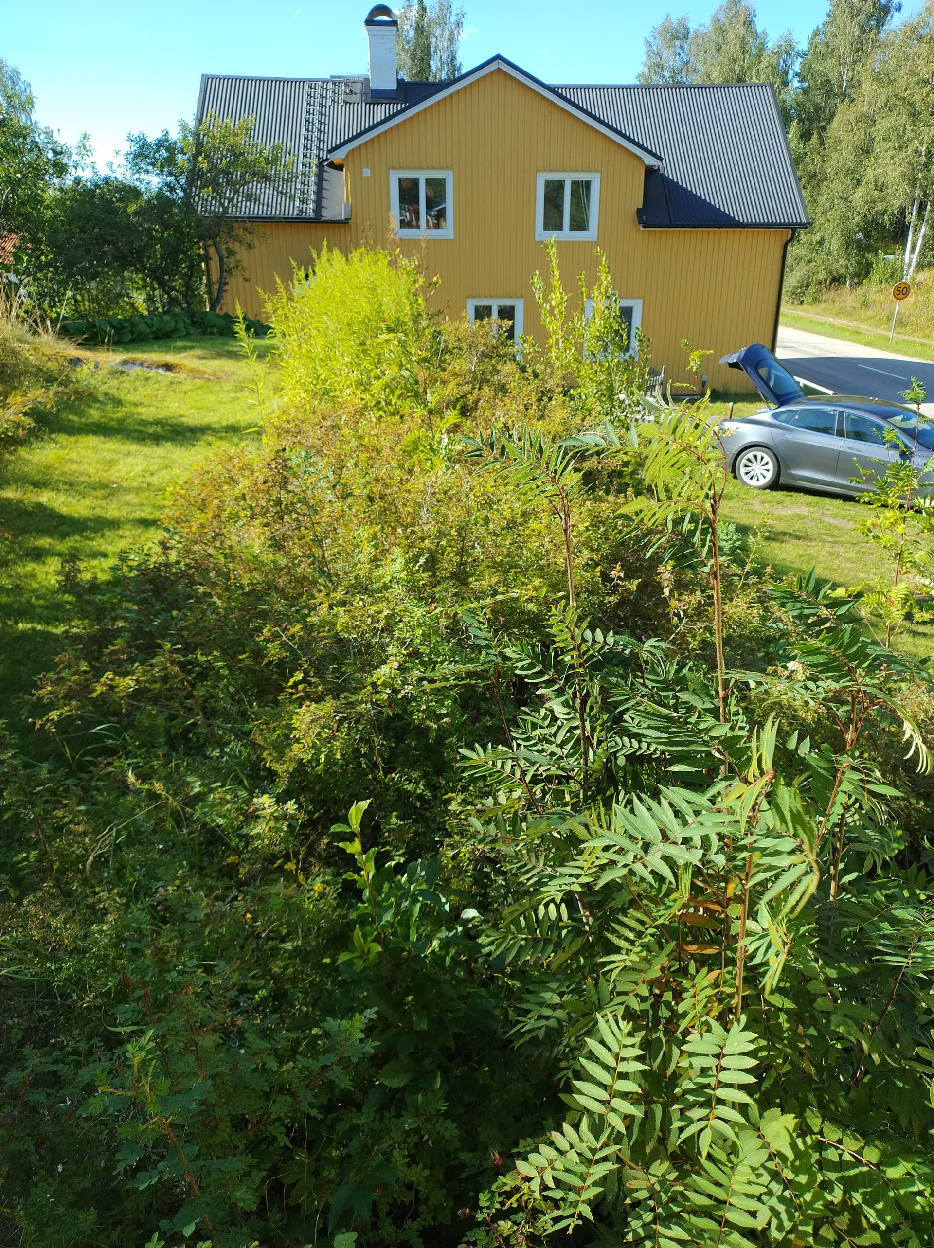 Property image 37