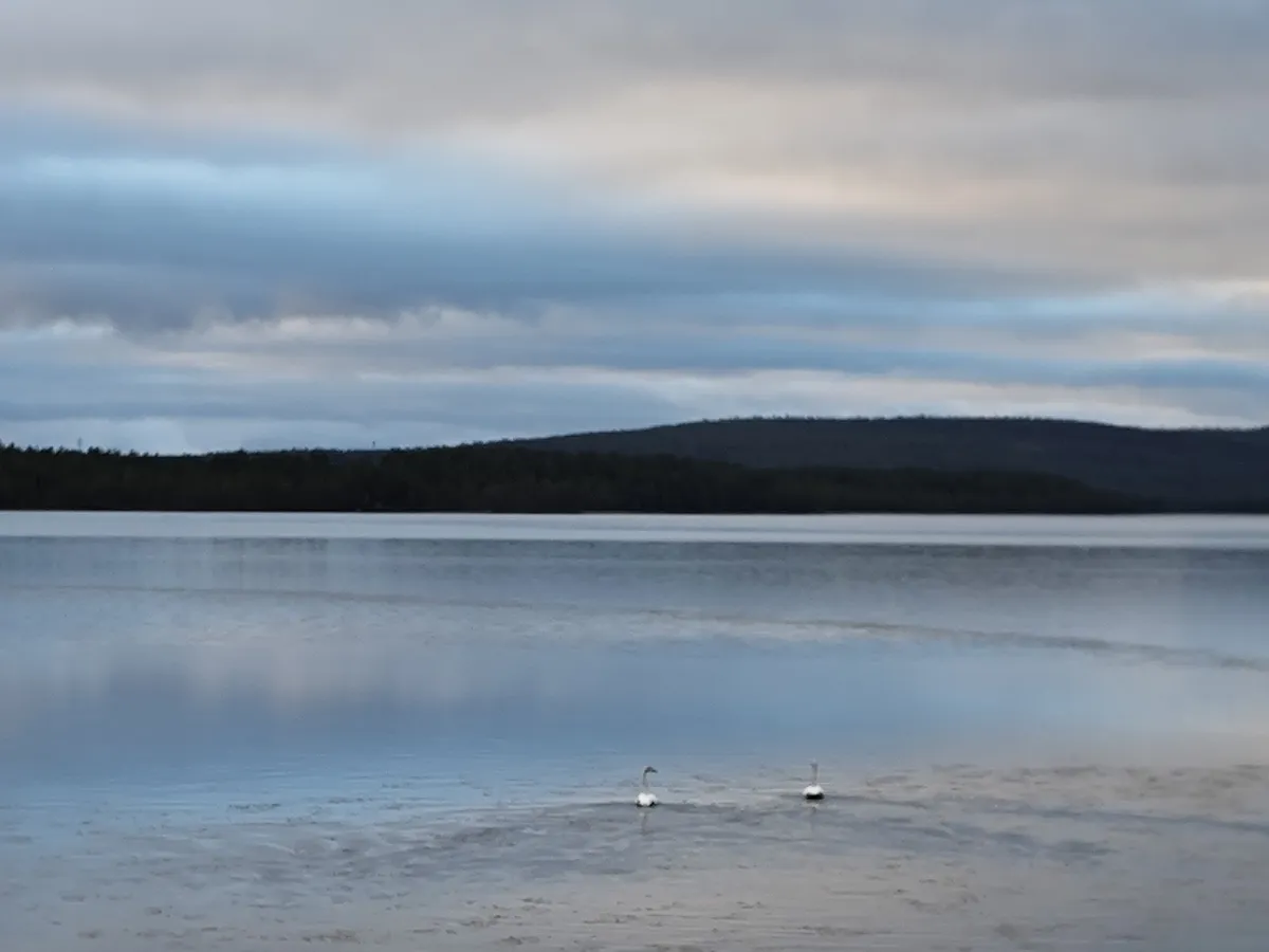 Hyresbostad på Jokkmokk i jokkmokk