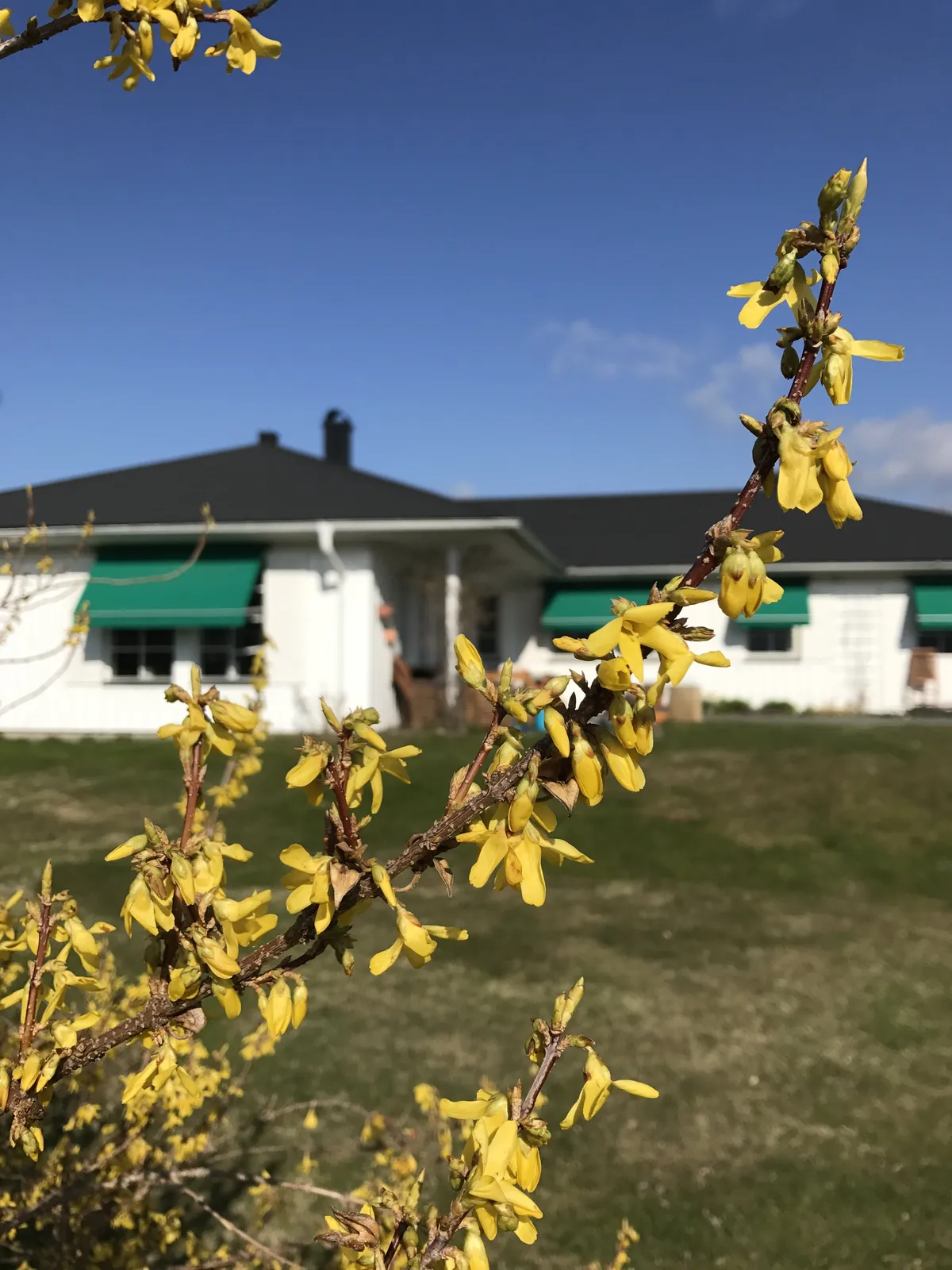 Hyresbostad på Ekerö i ekero