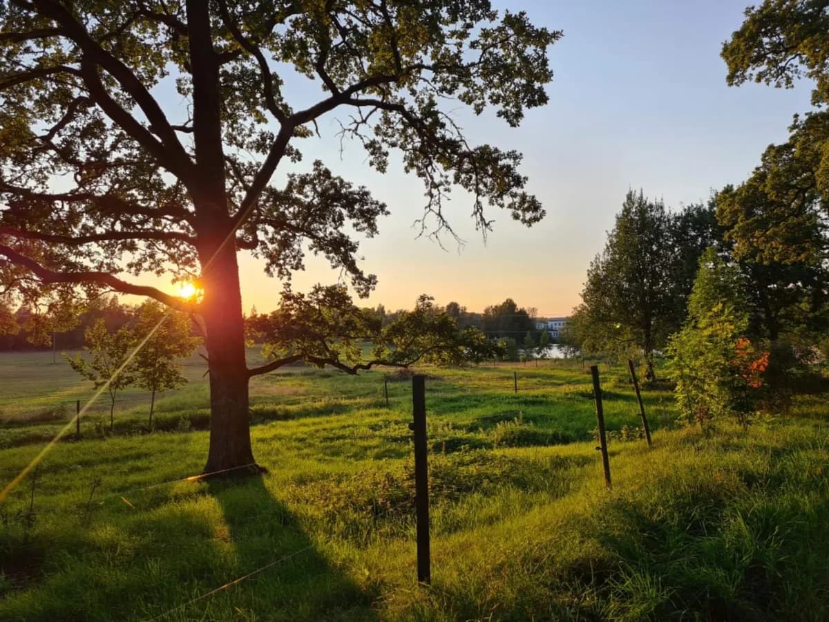 Hyresbostad på Fellingsbro i fellingsbro