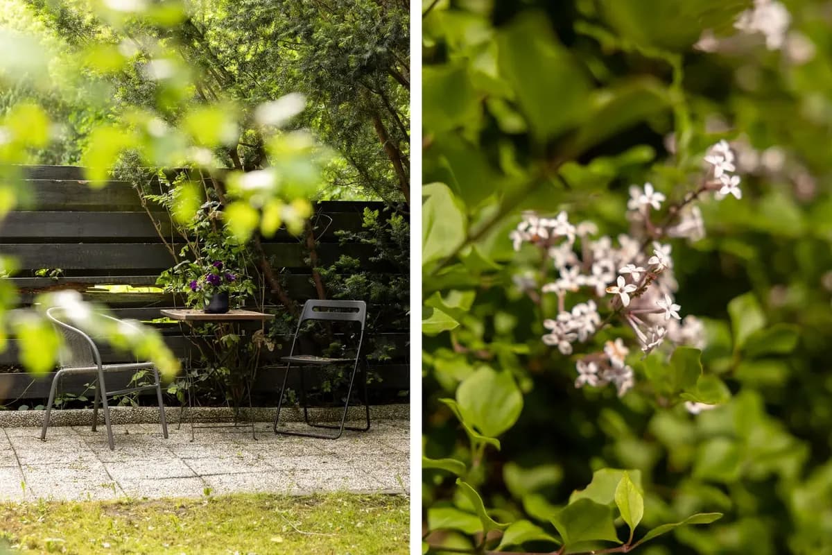 Hus på Blåtungavägen i Lund