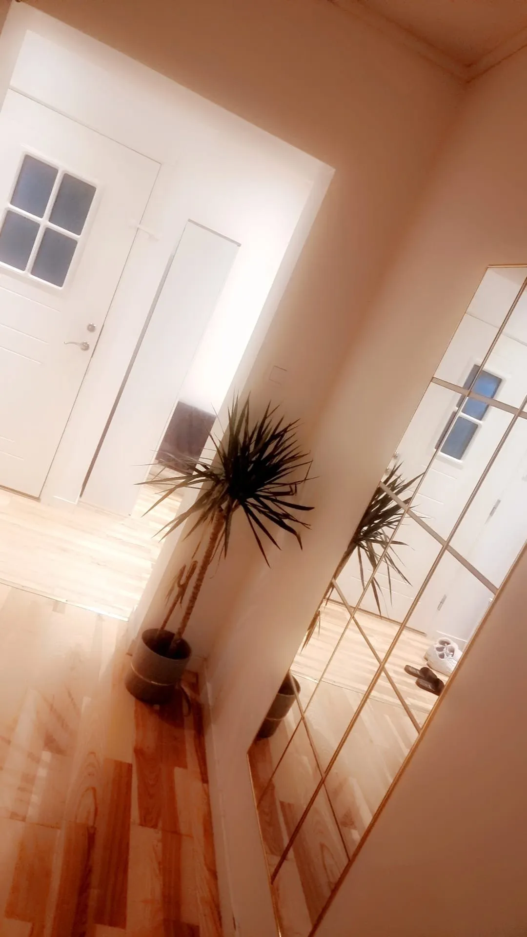 Hyreslägenhet på Kristianstad i kristianstad