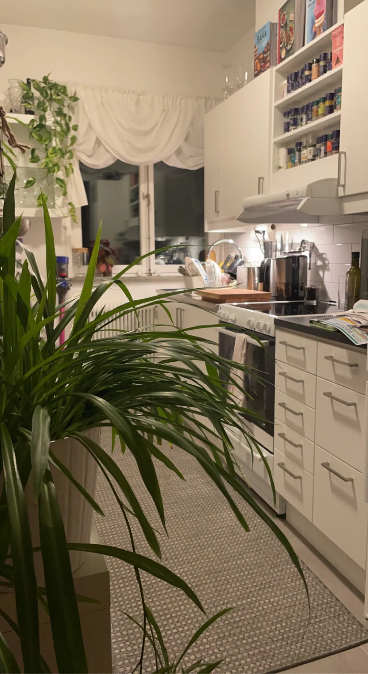 Hyreslägenhet på Bromma i bromma