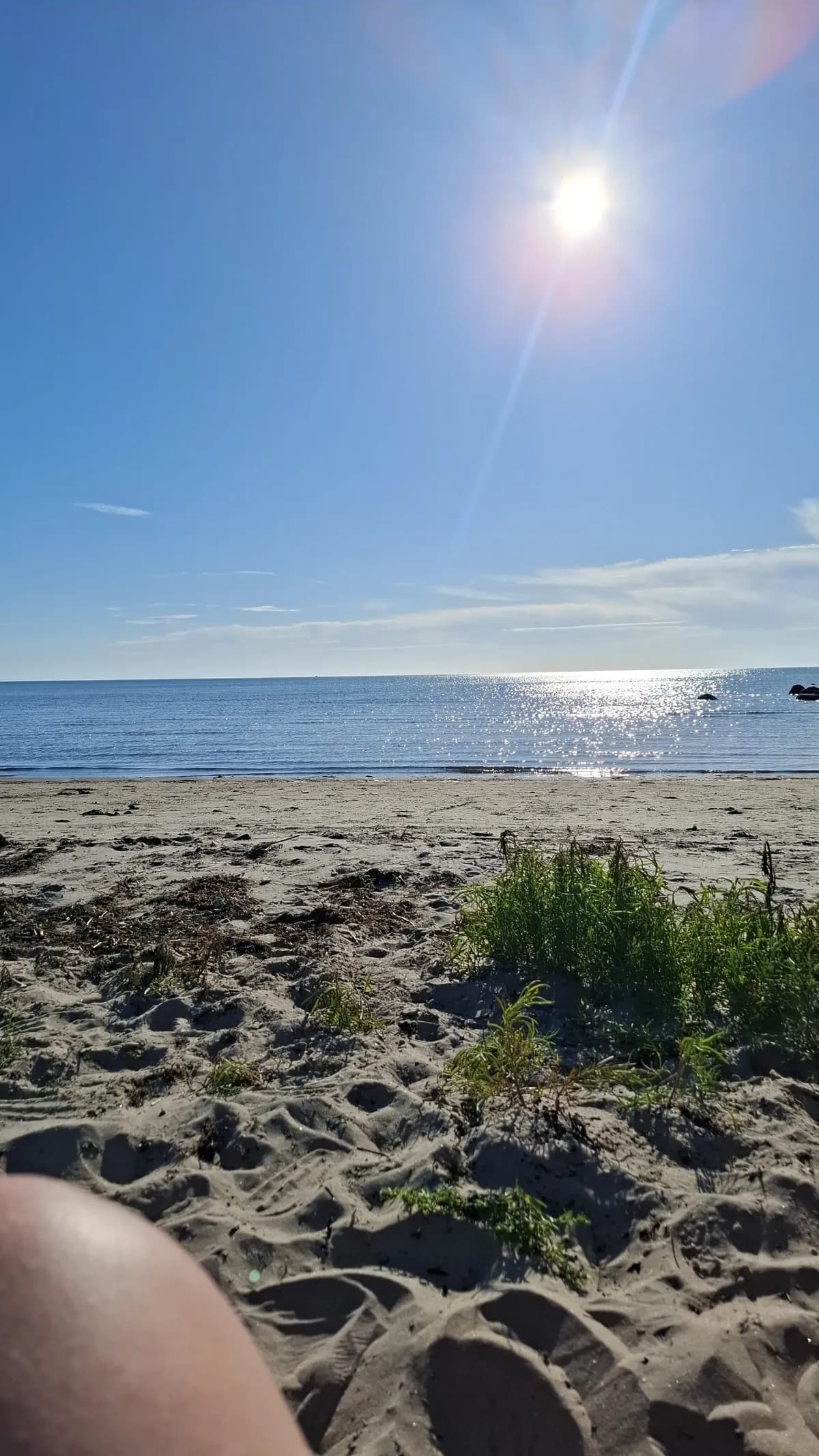 Hus på Gustavs väg i Glommen