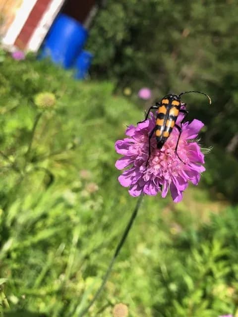 Hyresbostad på Skärholmen i skarholmen