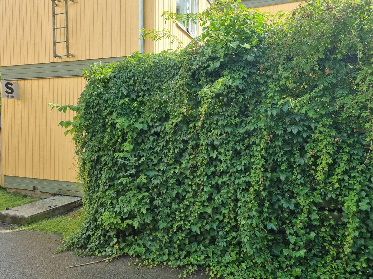 Hyreslägenhet på Lund i lund