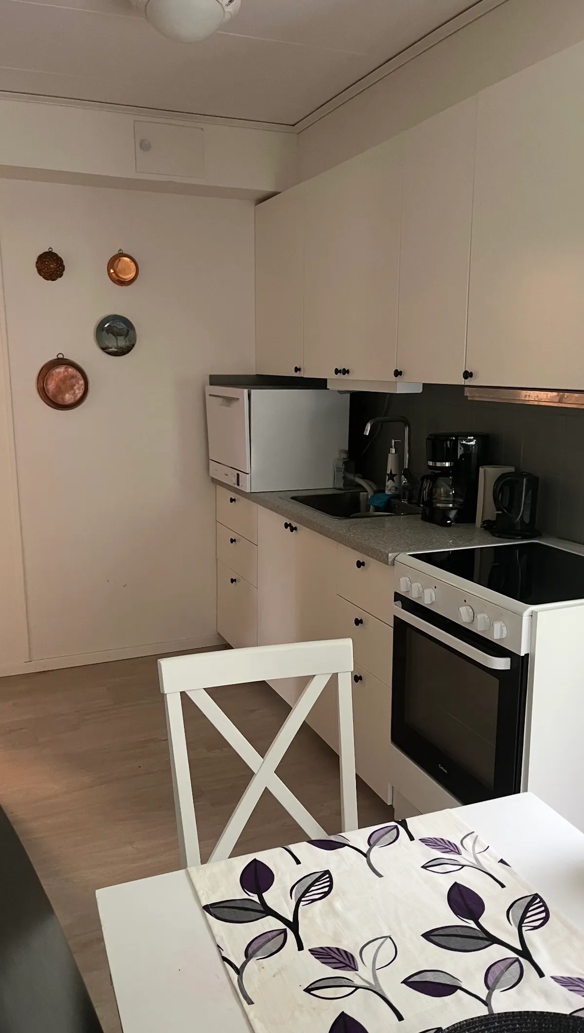 Hyreslägenhet på Hälleforsnäs i halleforsnas