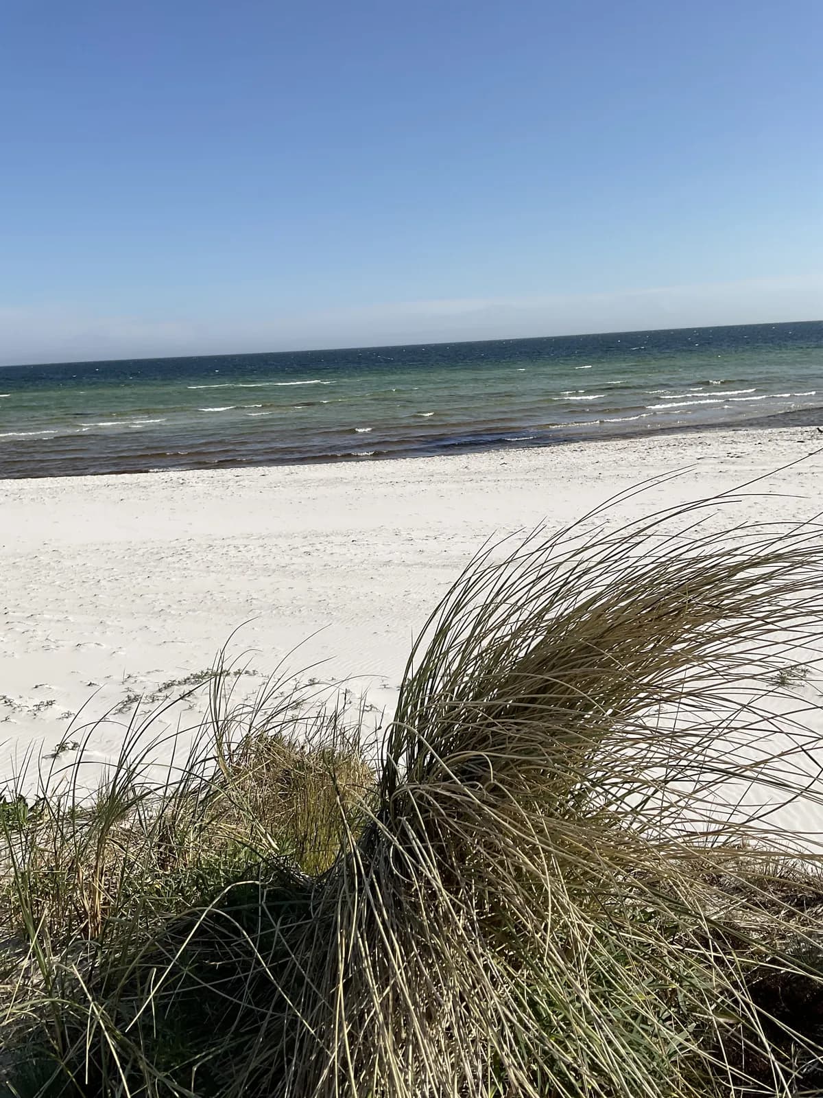 Stuga på Ålavägen i Falsterbo