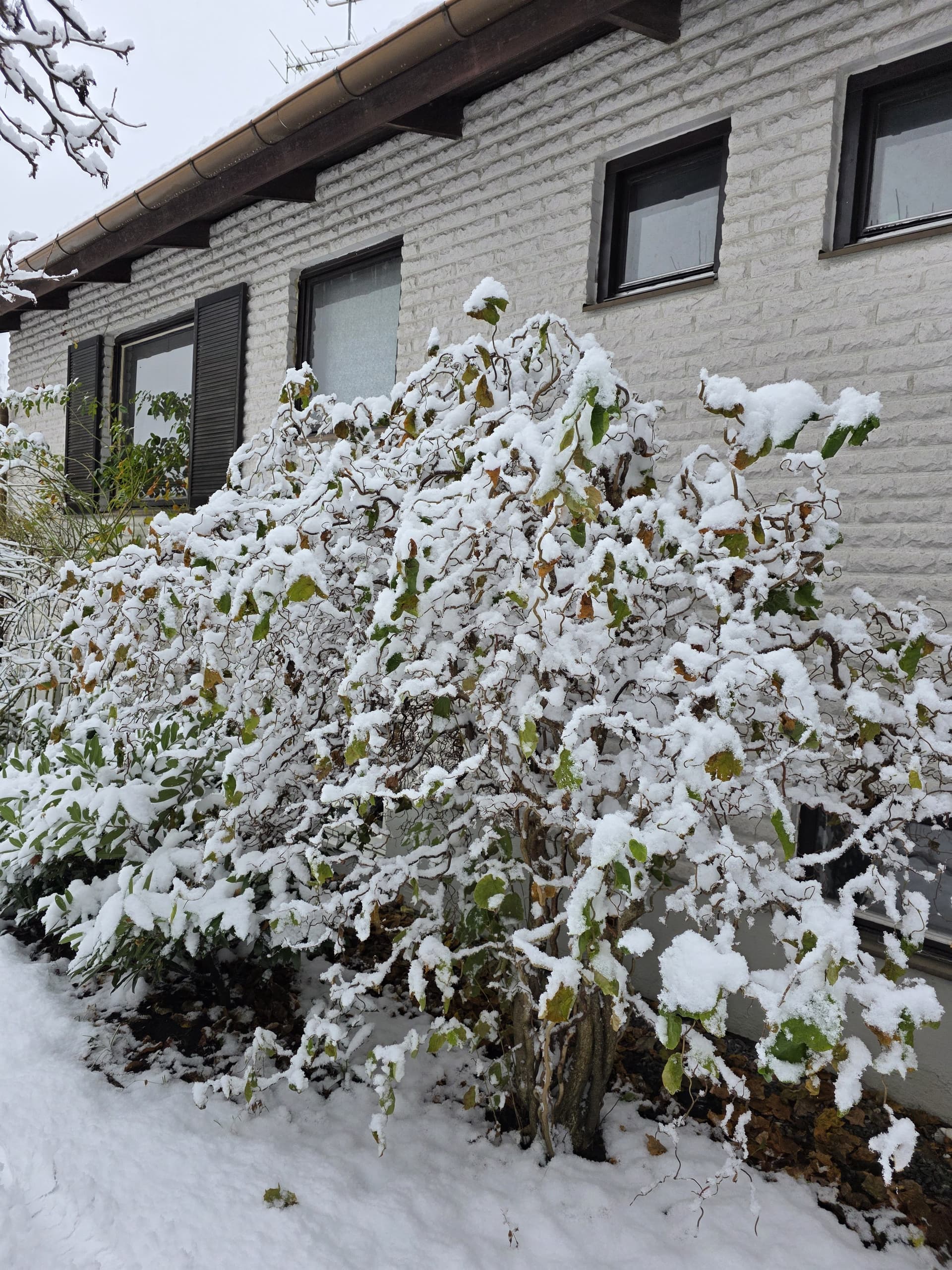 Hyresbostad på Partille i partille