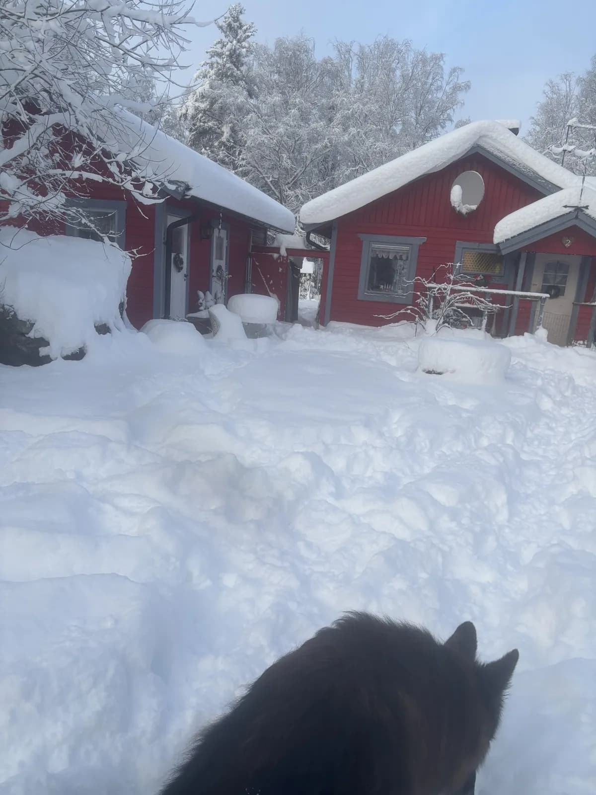 Stuga på Ryssjövägen i Nykvarn