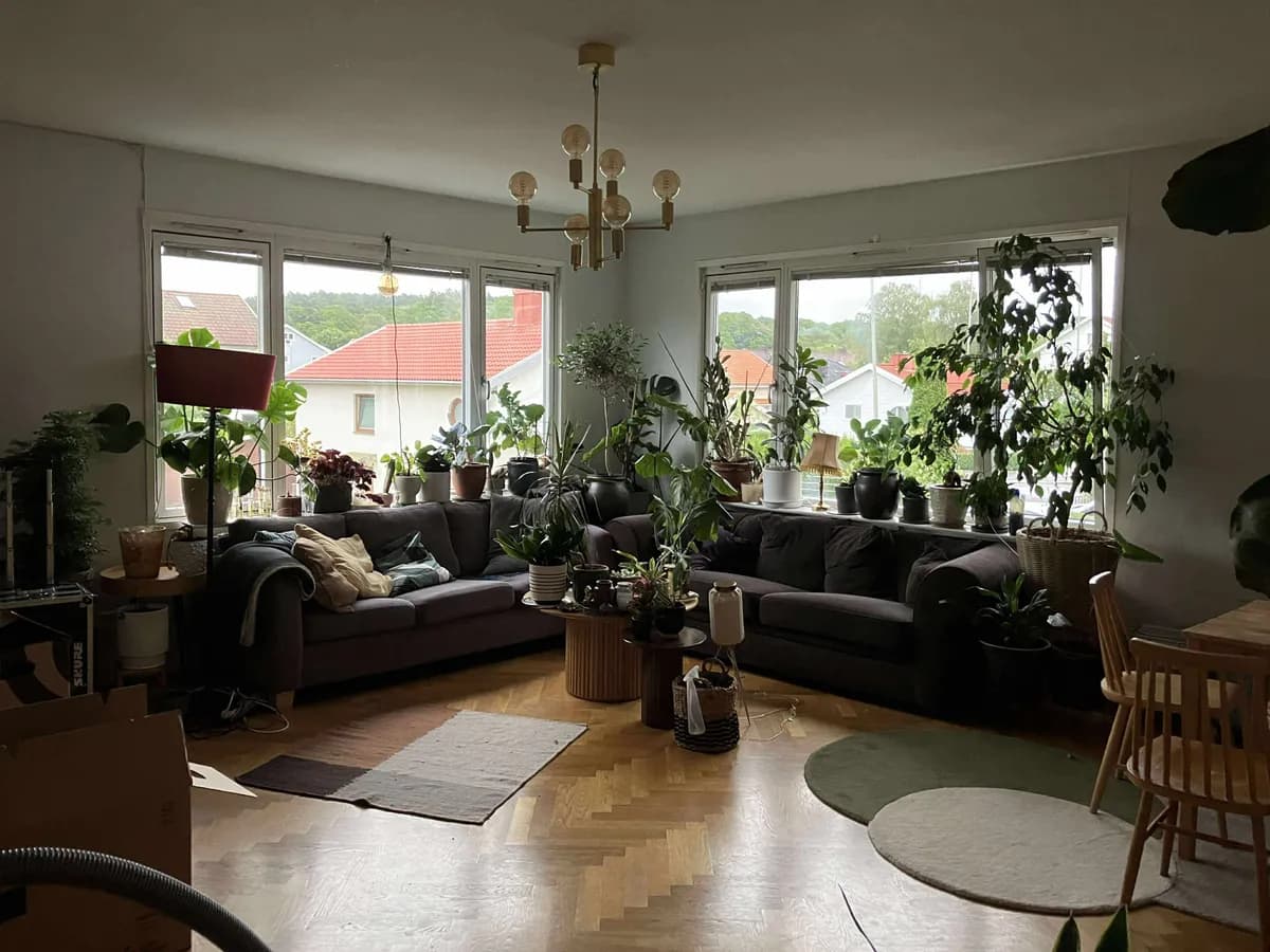Hus på Norströmsgatan i Göteborg