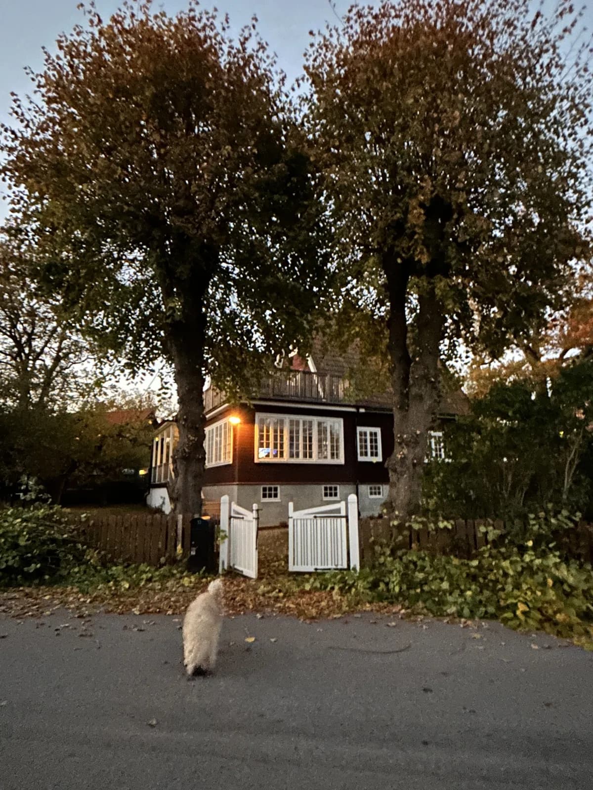 Hyreslägenhet på Saltsjö-duvnäs i saltsjo-duvnas