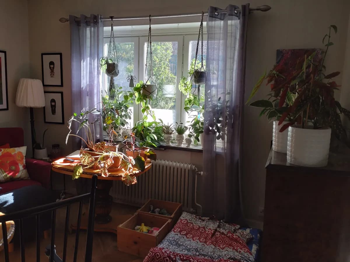 Hyreslägenhet på Vänersborg i vanersborg