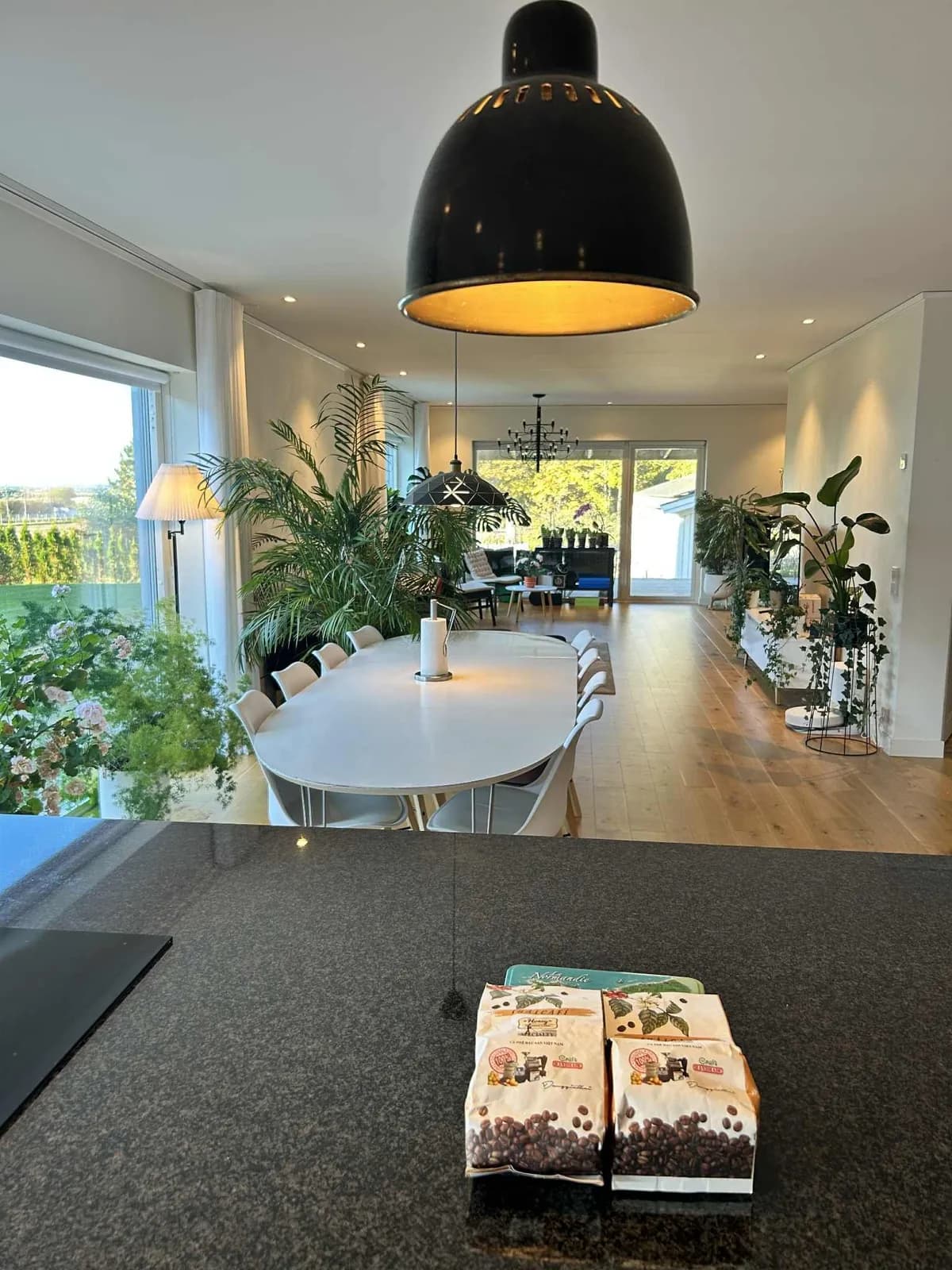 Hus på Tornhillsvägen i Lund