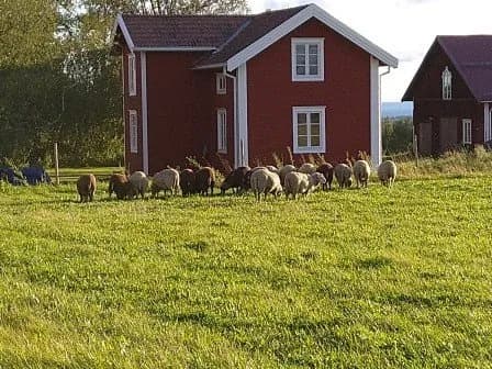 Hus på Ösavägen i Ås