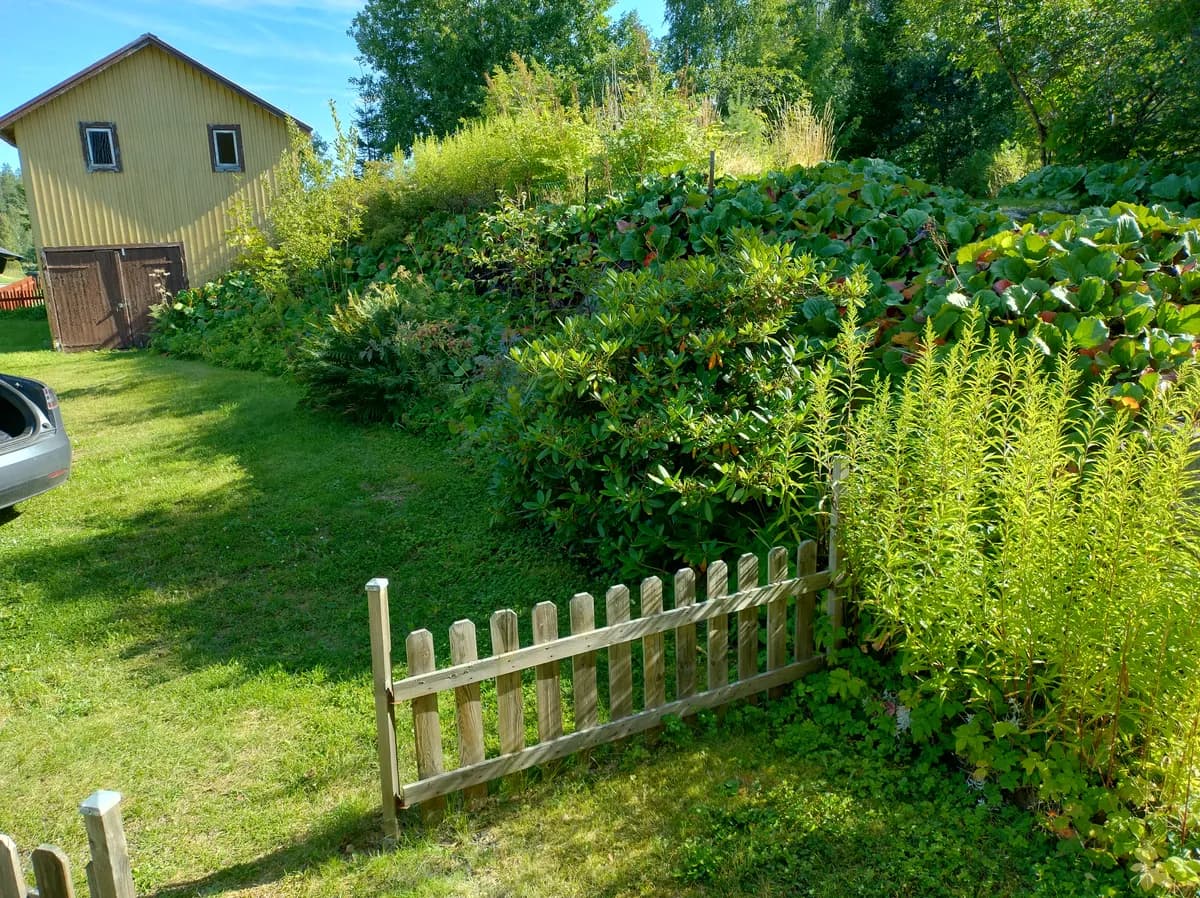 Property image 38