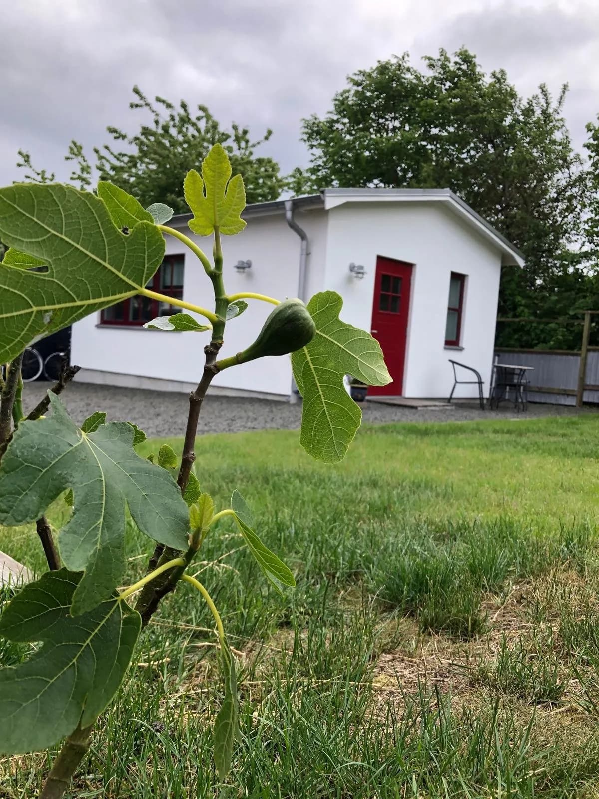 Hyresbostad på Brantevik i brantevik
