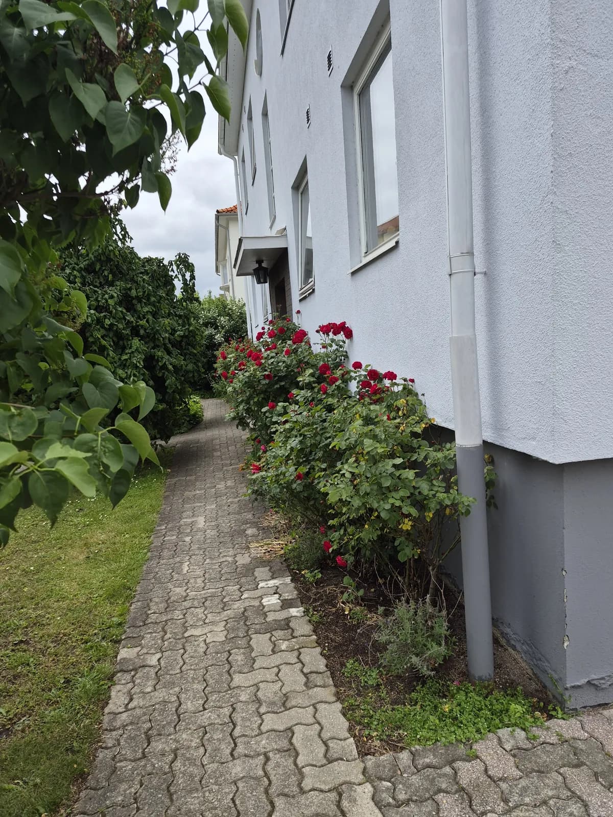 Hyreslägenhet på Kristianstad i kristianstad