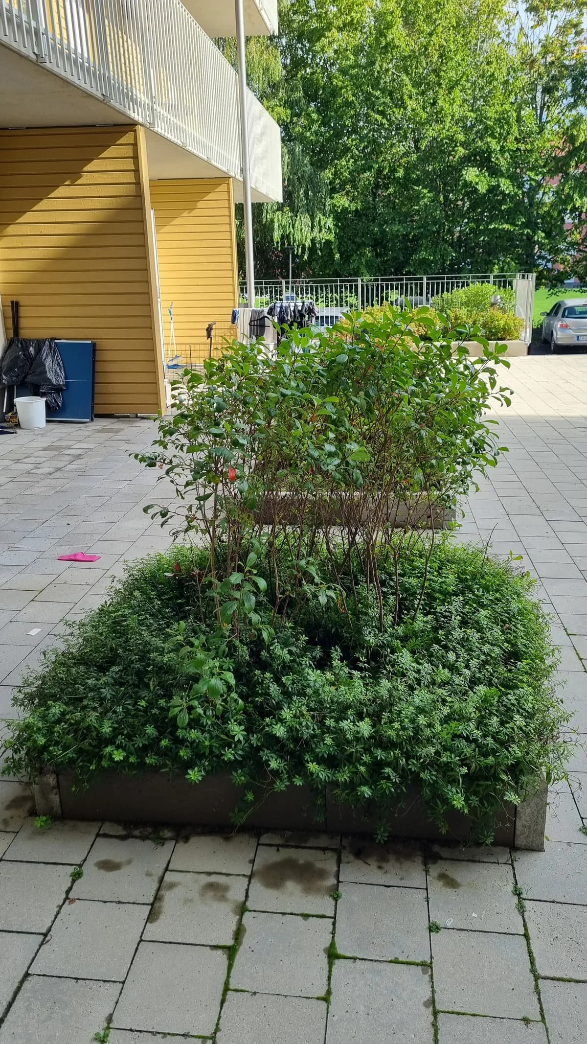 Property image 17