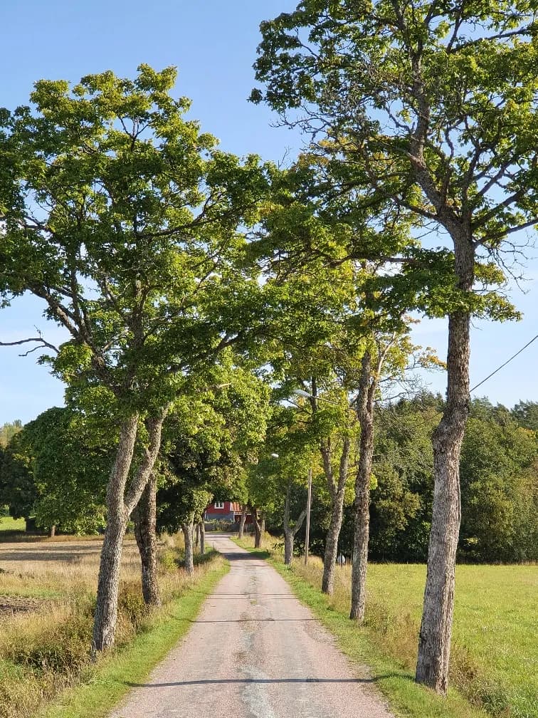 Hyreslägenhet på Nyköping i nykoping