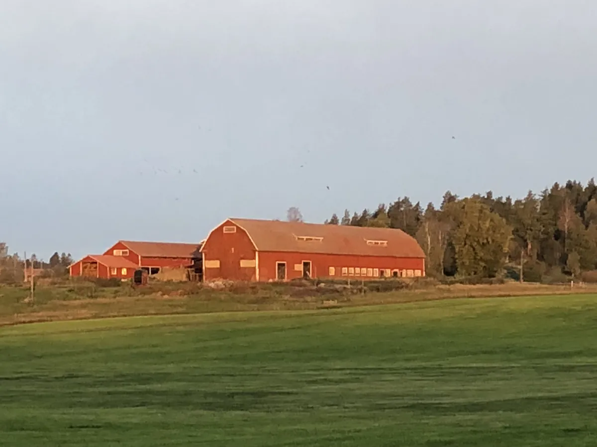 Hyreslägenhet på Gamleby i gamleby