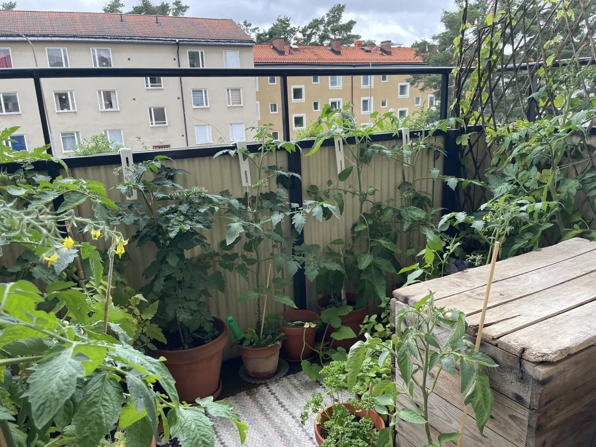 Property image 16