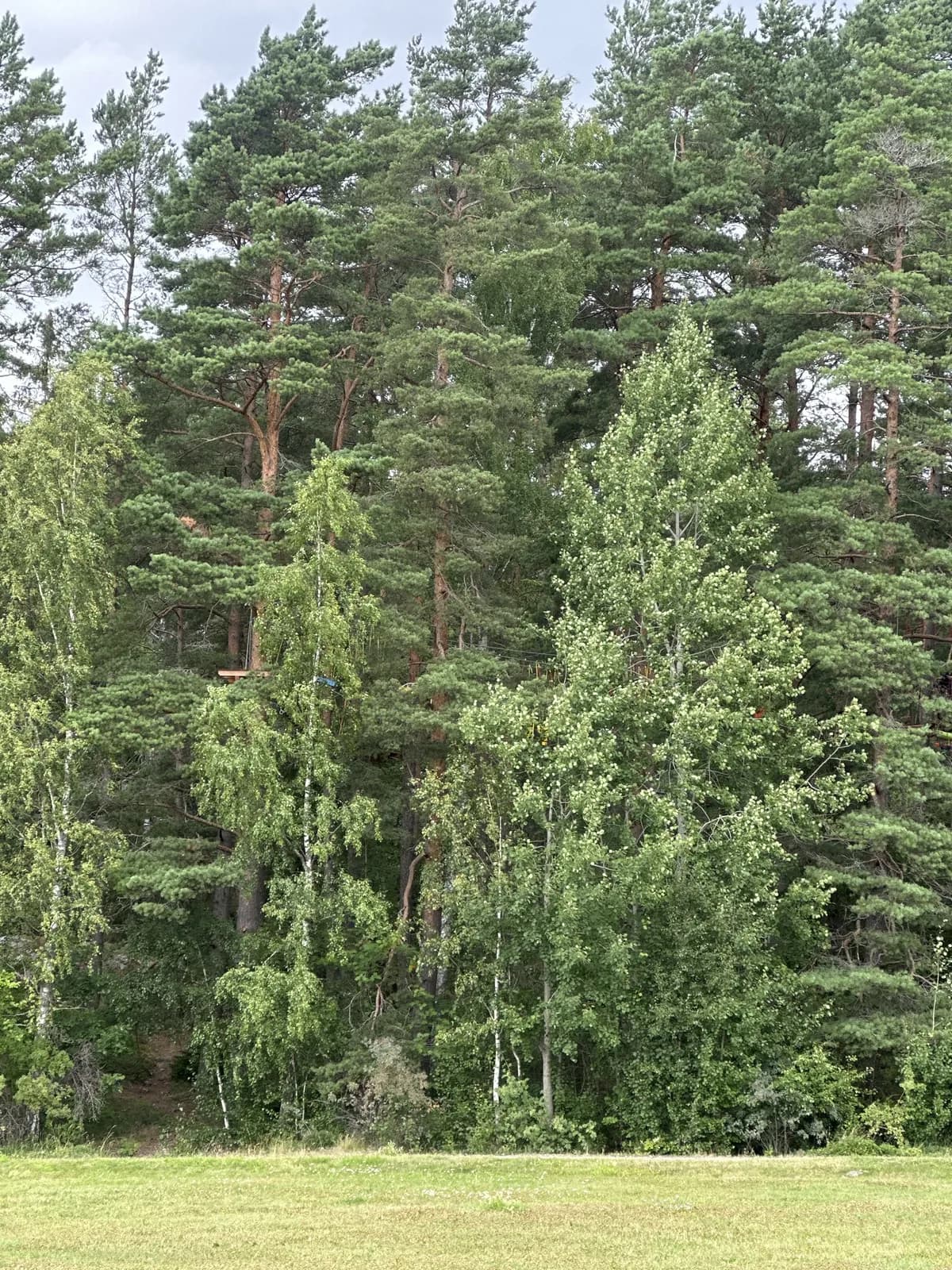 Hyreslägenhet på Kista i kista