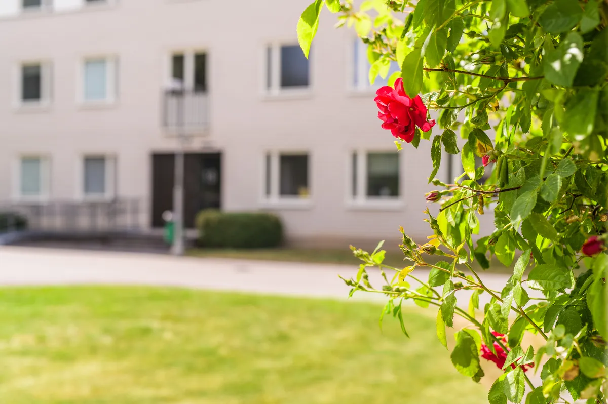 Hyreslägenhet på Linköping i linkoping