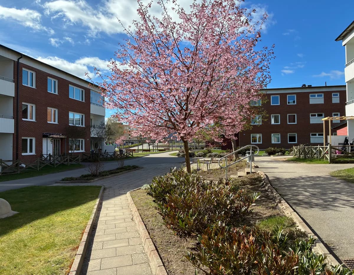 Hyreslägenhet på Skövde i skovde