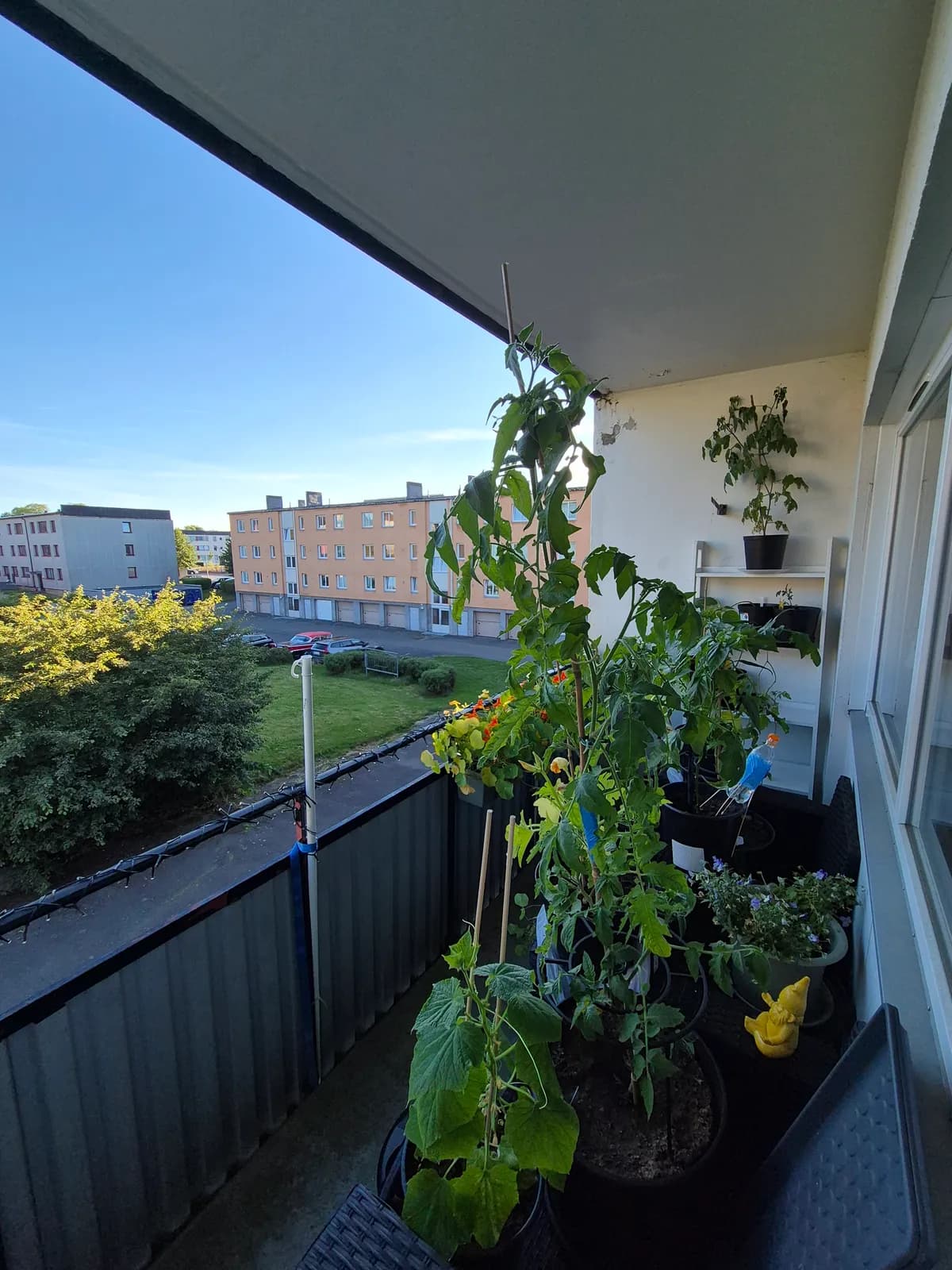 Lägenhet på Esplanadgatan i Forserum