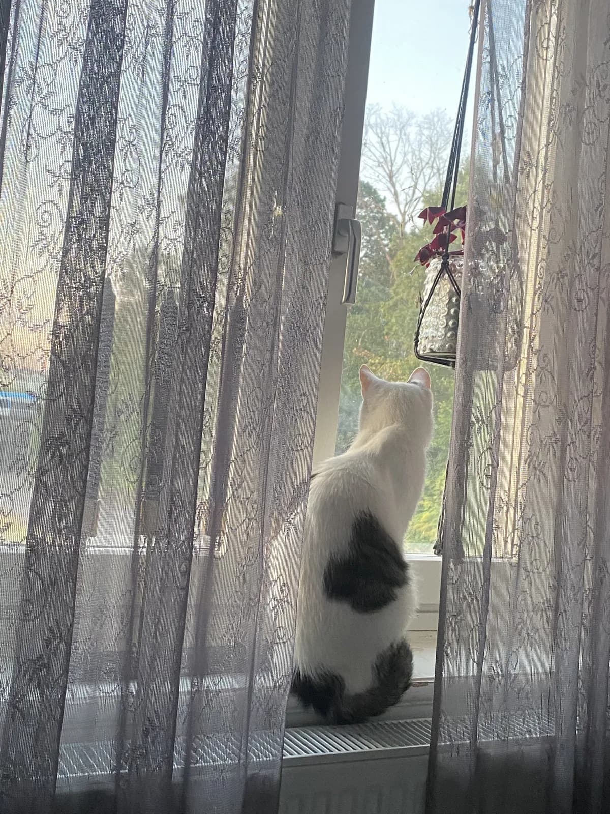 Hyreslägenhet på Falköping i falkoping