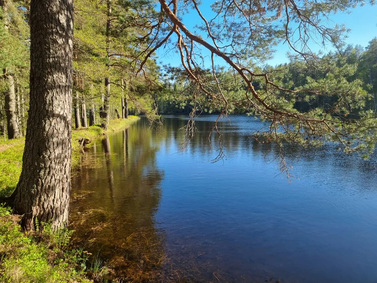 Lägenhet på Korsån i Hofors
